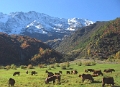 Vallee de Peisey